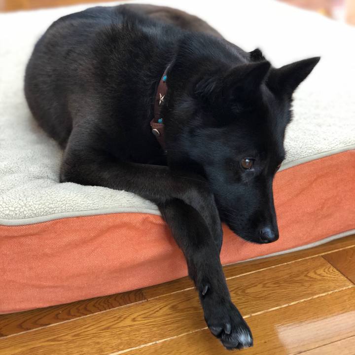 C907ed52 d54f 4102 8b1b ae4064098169 1585966786812