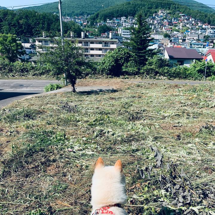 C907f51e fdc3 45a5 ab09 ee739ddbf33b 1562706928011