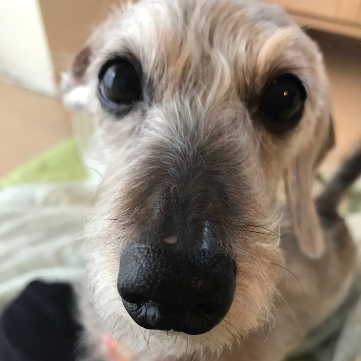 C907fc99 fa03 4150 ba95 cebc1f627269 1521715472719