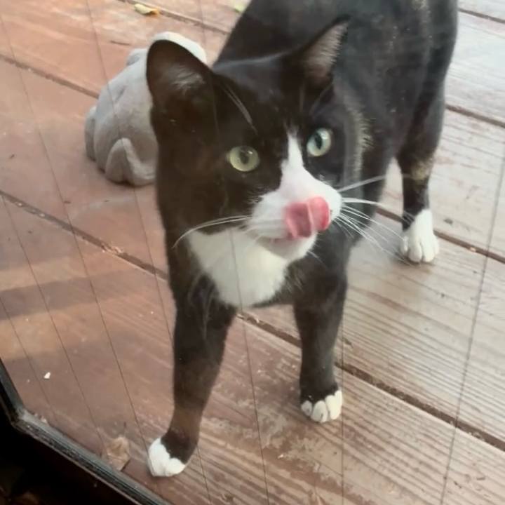 C908177c a4a0 4c52 9775 5612e0708974 1759226431669