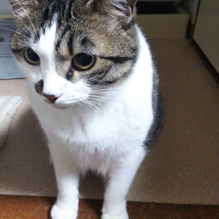 C9082989 3154 458c 9406 27dcef67f457 1655726265257