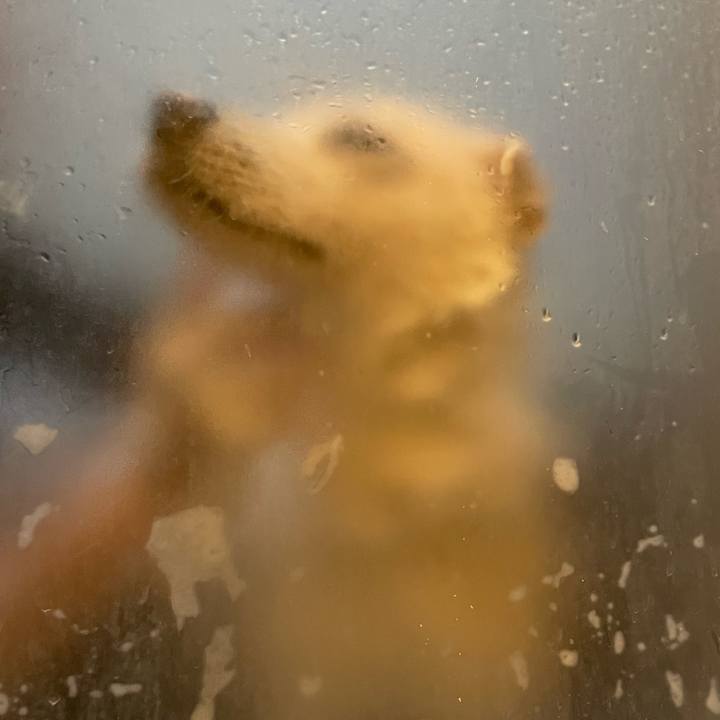 C90839a7 e4b0 4317 9b9b 53153fe91a7a 1742436700283