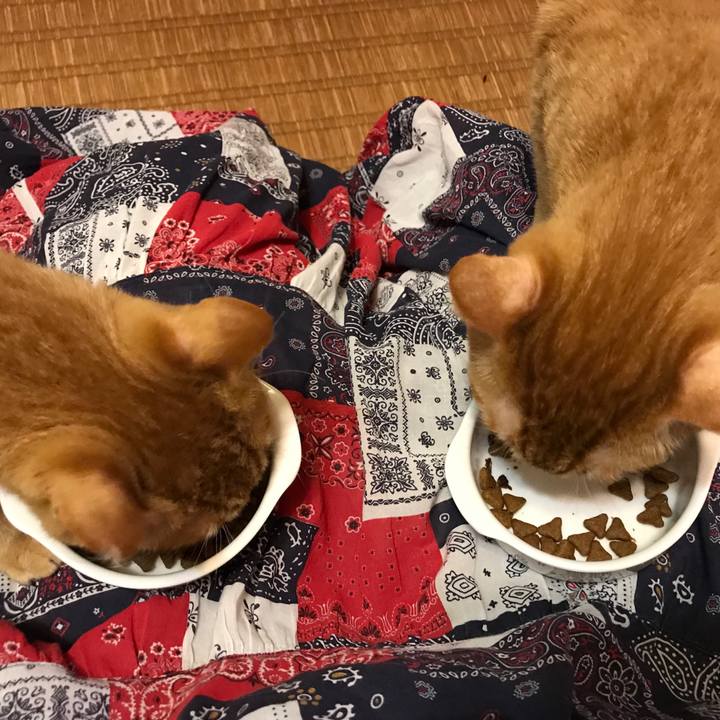 C9083b0b 6a21 46a2 9d61 38acc7fd98ce 1588587200759