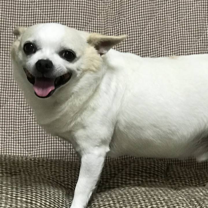 C9087534 8dab 4c57 a3a4 a635ea00029b 1537797490329