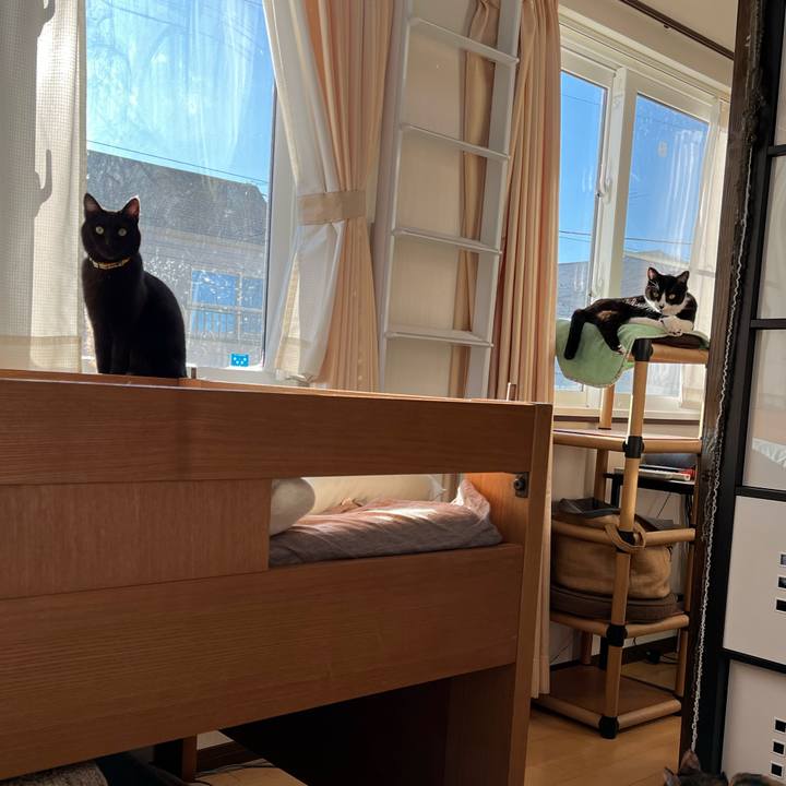 C9088ab7 b1cd 4ab6 839c a8b0b5462bb8 1640601872693