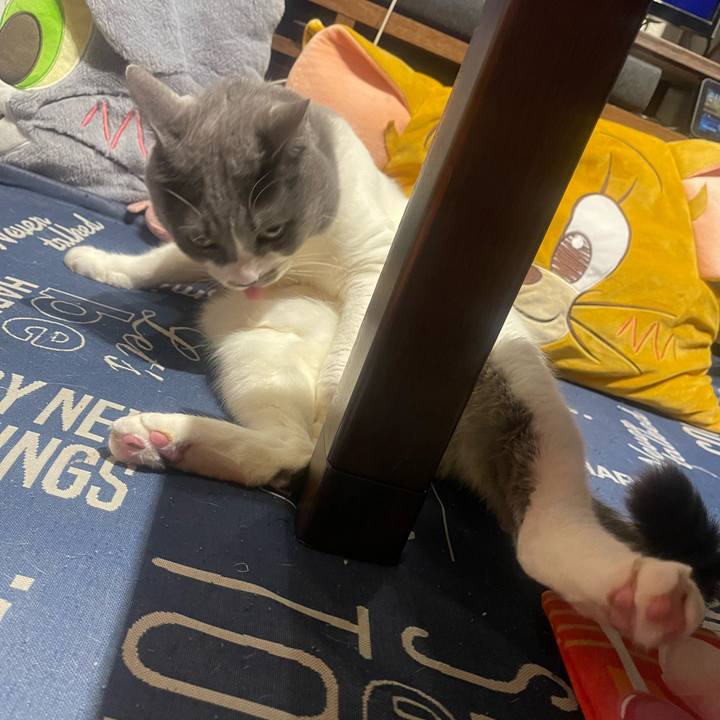 C908929a 4fb2 44dc 86c2 2f39b5cbac0c 1745421756424