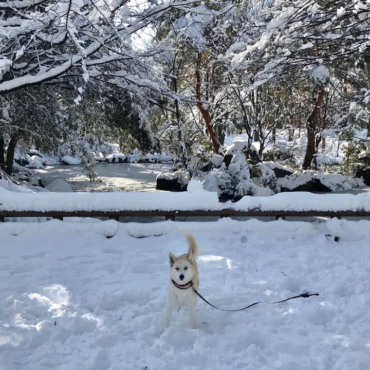 C908a724 4557 44db 8005 ccecd4e61151 1516676523414