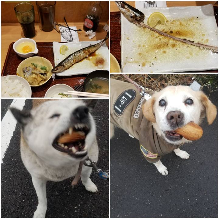 C908d074 5e26 438a bba9 d4d792efe495 1758373692945