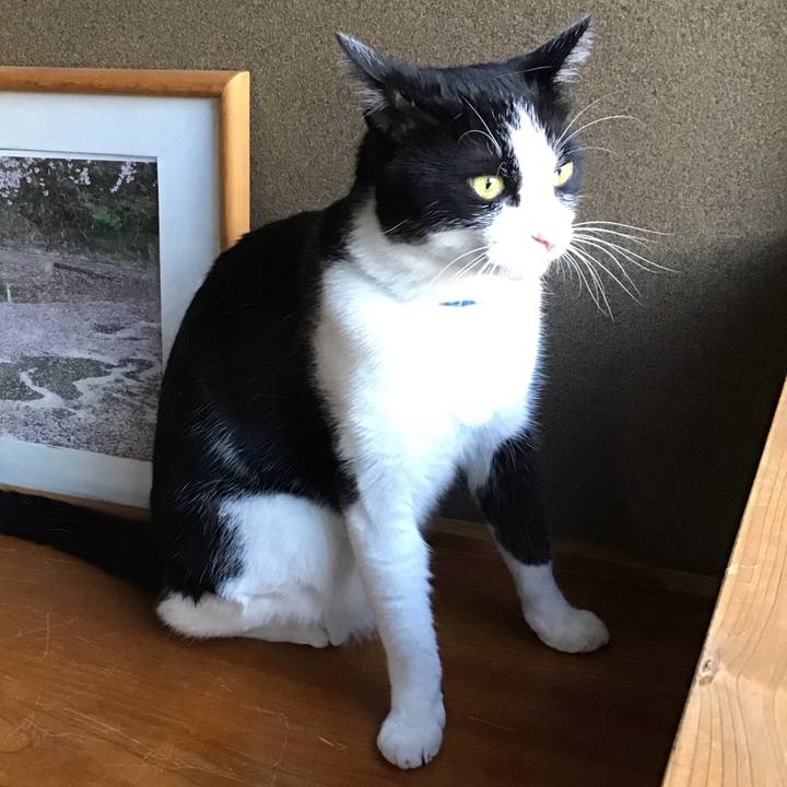 C908e684 f1ad 4f5a 956e 830211e17425 1694511736930