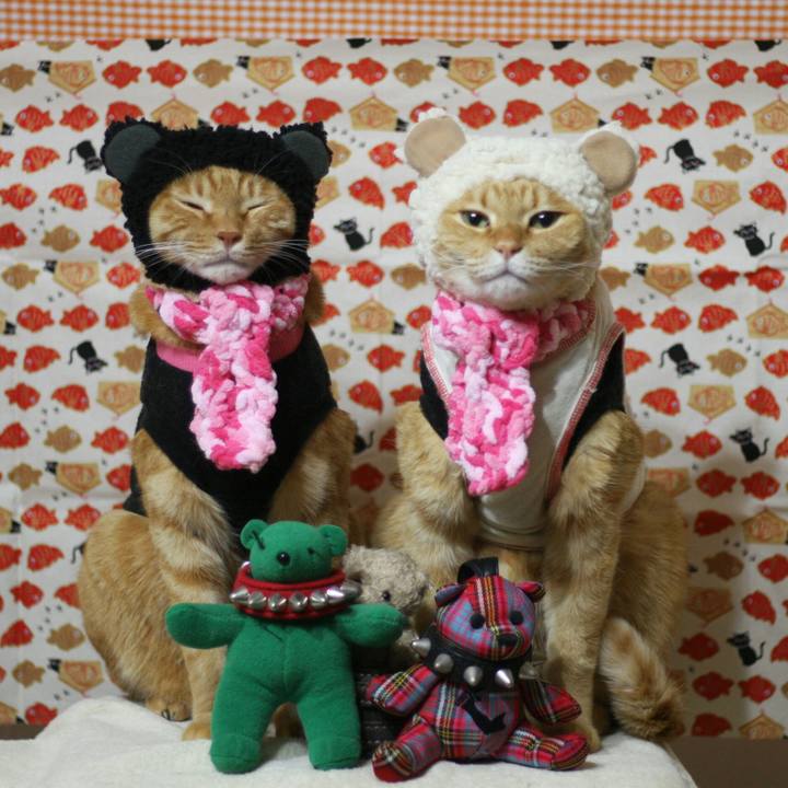 C9099876 8f4f 42d8 9968 4dbb771bc6d9 1514252318477