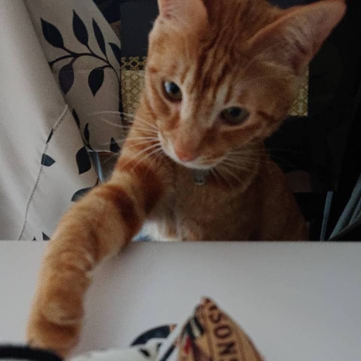 C909d4ba ff5d 4d7d a593 0af156e20daa 1589168545404