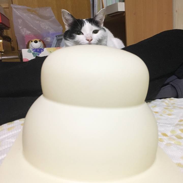 C909e9b7 c8f7 43ed ae29 a04667cb2dc4 1547474828981