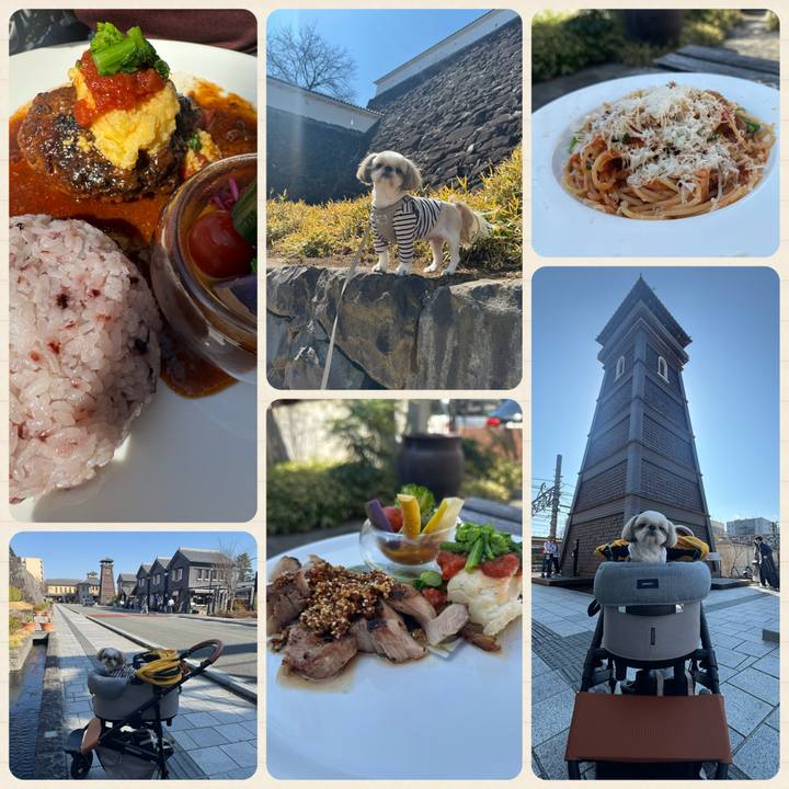 C90a0d51 1391 4141 8faa 9e808c528120 1742645097962