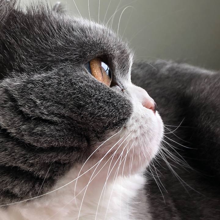 C90a2472 f122 4c02 abed cba7b236ece9 1525008464593