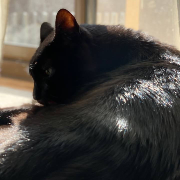 C90a29ea f360 491a 93f8 dee4250f6e92 1573349751166