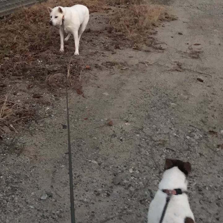 C90a4306 13a4 423e aceb 1dbdbb319759 1538992098100