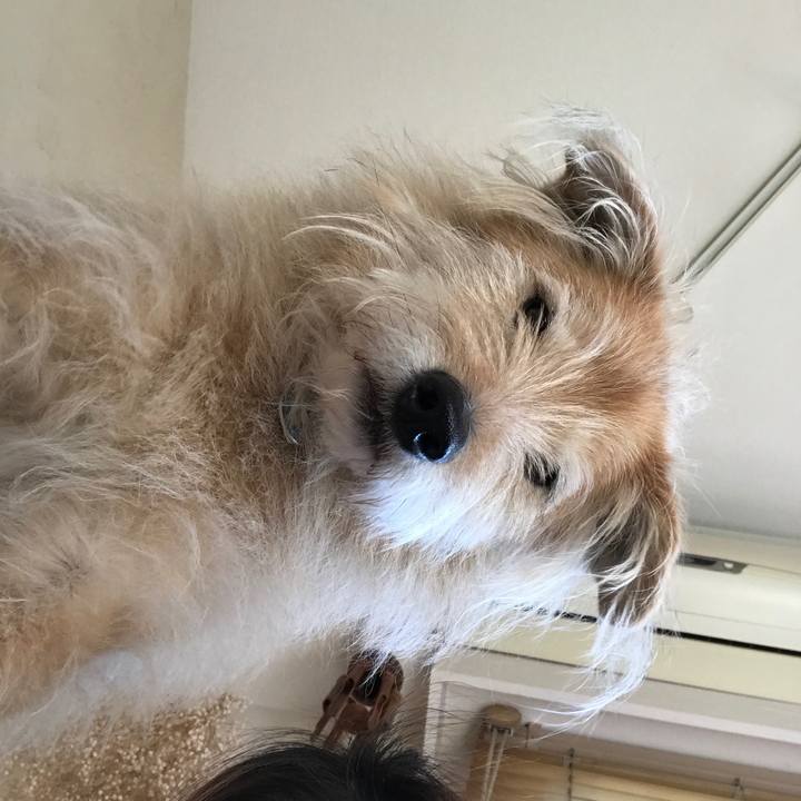 C90a58e6 35f3 440f 83ae 753b8baa7e70 1553053240655