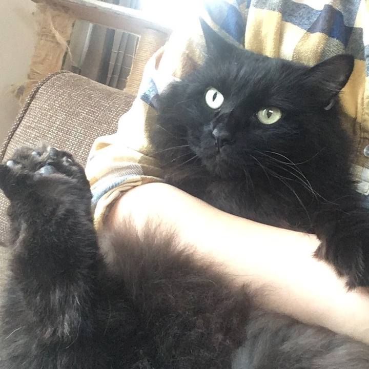 C90a5bc9 a219 4d6d ac8a 4bd6ea3737bd 1542323388029