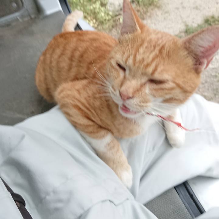 C90a7ada 9def 4e66 a3f7 cf11f2ef65f8 1569654474201