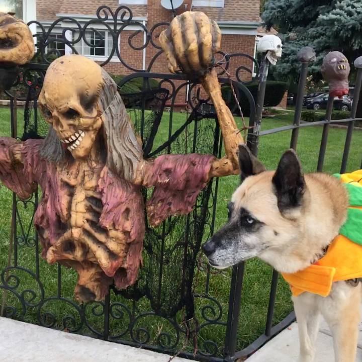 C90a80c8 88de 4156 9d61 9f8df56ef85e 1540677451179