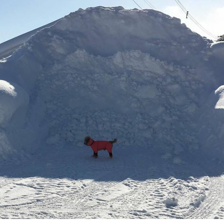 C90a9d0a 4fbe 4d86 b6fd 3e8ab98aa3c9 1549032792065