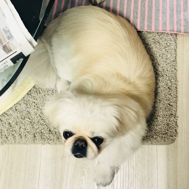 C90ad81a b172 409b 8647 aaac1fb6d2d1 1587961595446