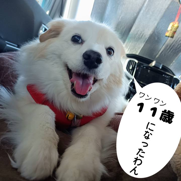 C90ae1df cafd 470c a629 d47b3af24bab 1682904955322