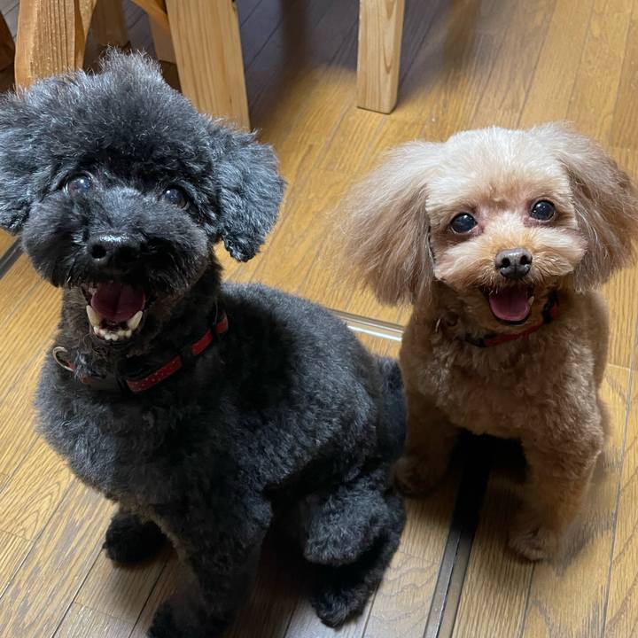 C90af29b f4d8 4640 9fa0 7ebe2b929092 1731132717779