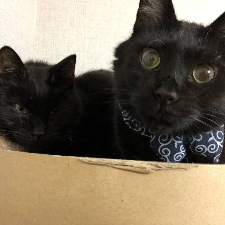 C90b44c2 3bfb 45f2 aeac 24750645b663 1554812506506