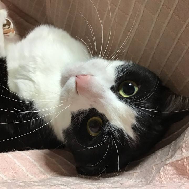 C90b4903 a163 442b ae39 07aec69b86bc 1682251047735