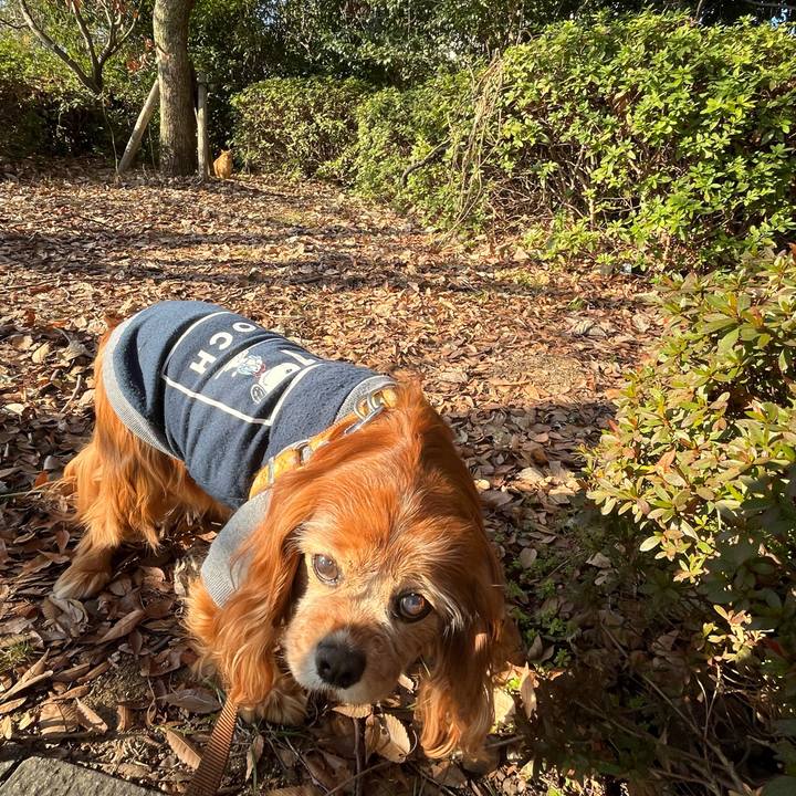 C90b64e0 4f3f 4e8c 92e4 6c469ef8e464 1771748931542