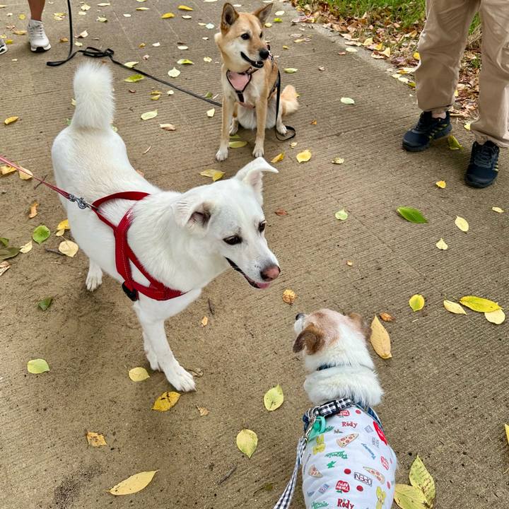 C90b81a9 5966 4f04 89b9 e817ed6714bb 1754782835090