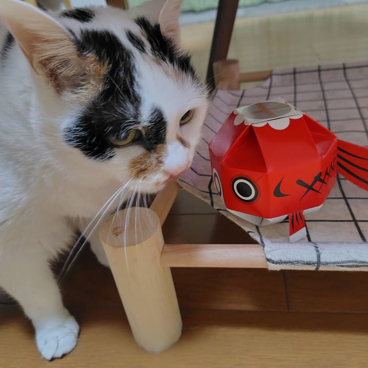 C90bbc41 896a 475e aea5 7882aaff911e 1756559521838