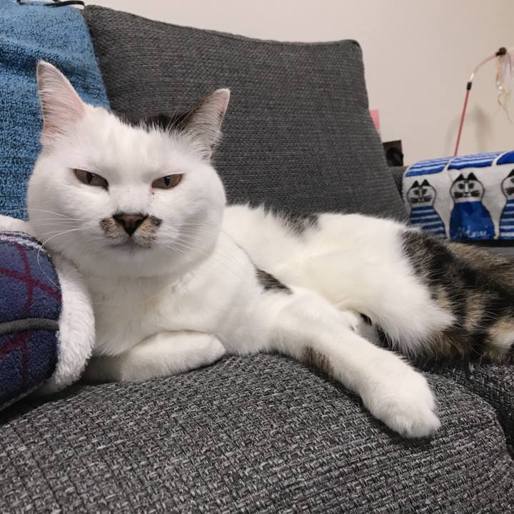 C90bcfa9 df76 45cd afaf 83499a350277 1582342304925