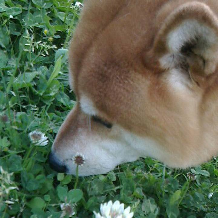 C90beb2f e88e 432e 89cb fd404b45cb8b 1525305404418