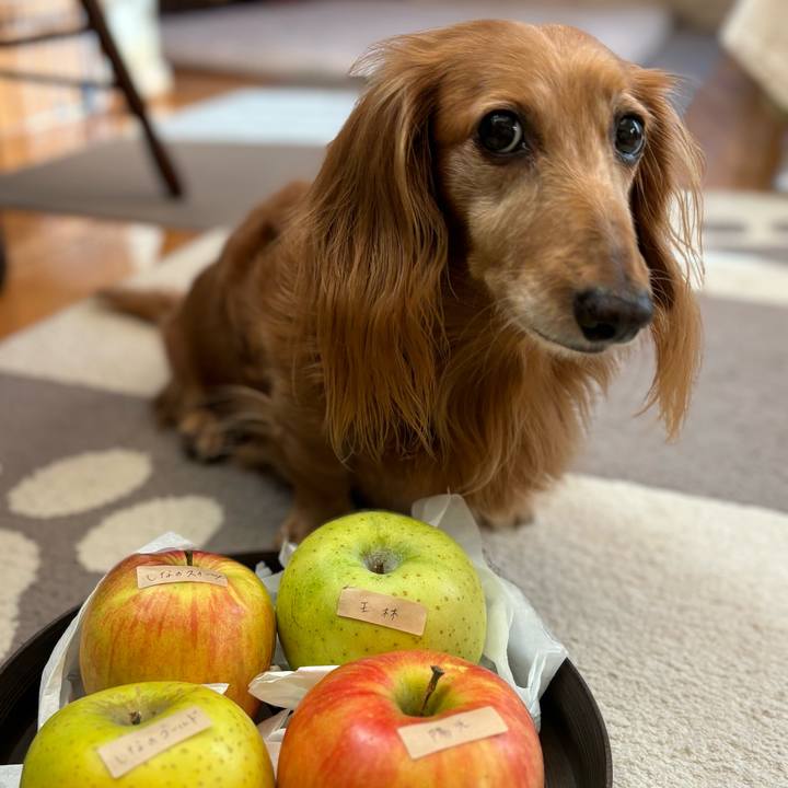 C90c1d51 84dd 462d b4d1 f3034066d076 1764470509912