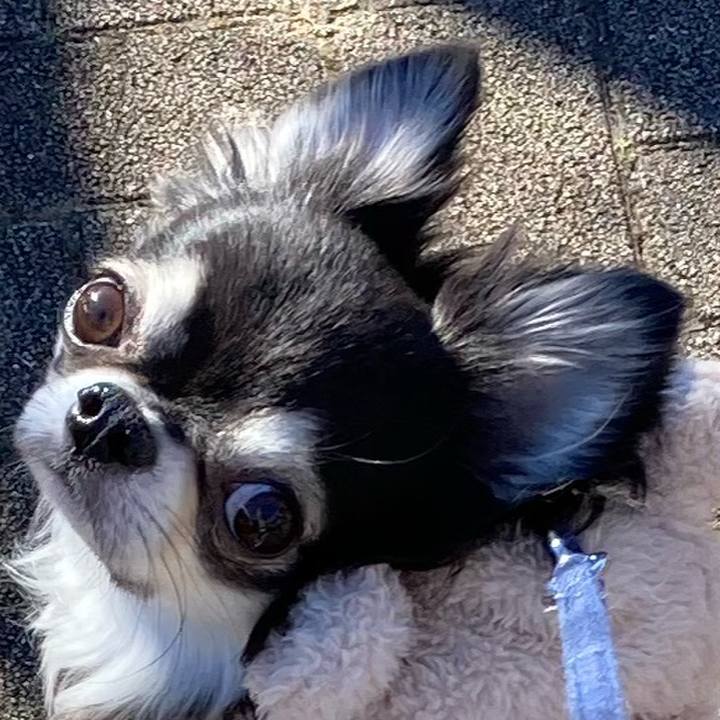 C90c2758 5a01 4cc4 bad1 78addfe86a20 1674964800560