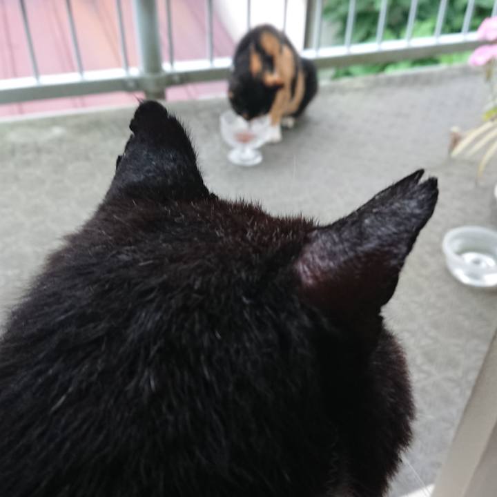 C90c31d0 dbc7 4578 bcde 369798b4217a 1563753360712