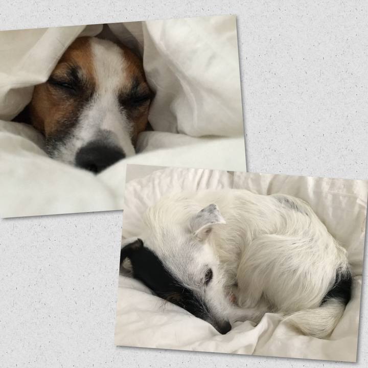 C90c5619 3de2 456d ab89 b86a2e7c0000 1508109013031