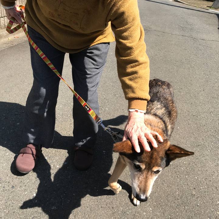 C90c9d11 2707 41af bd5b 3666907e391d 1521947858881