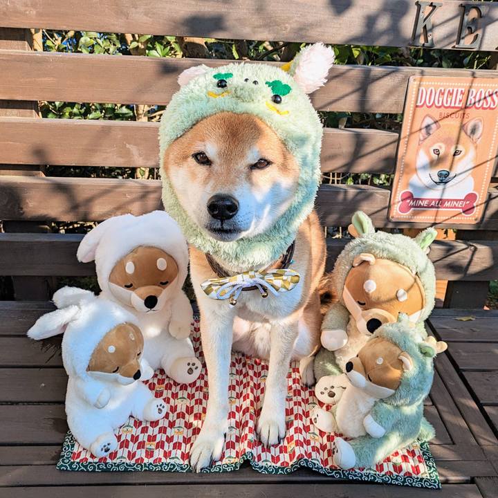 C90ce490 7462 41be a2ad 081d7a225c1b 1704014331521