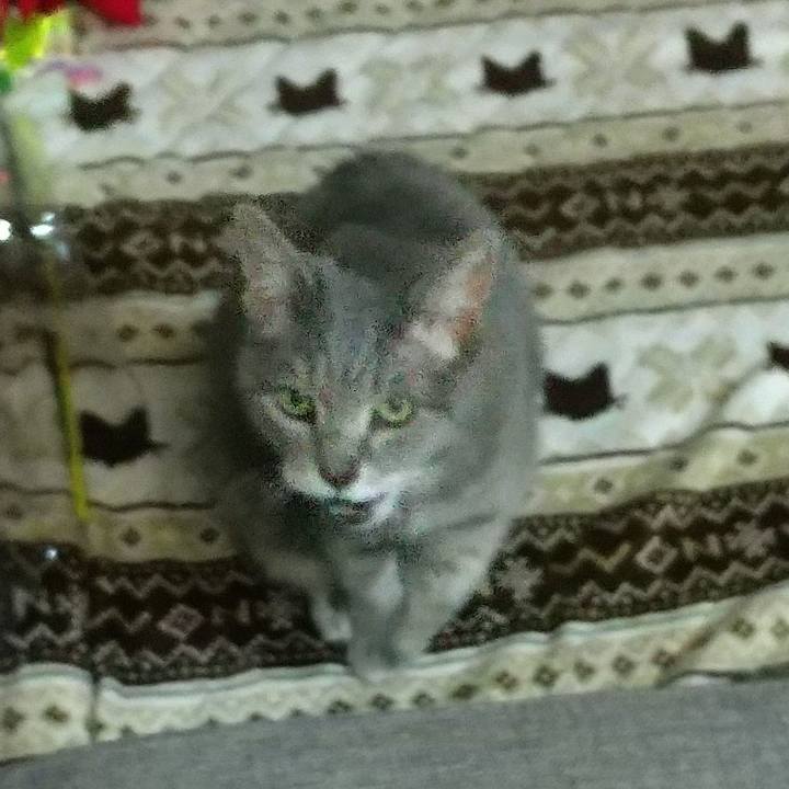 C90cf0ca 5705 4a30 ae85 afb7e9c52e1d 1676540135190