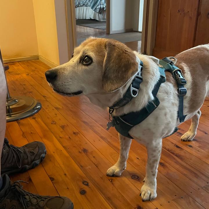 C90d1f52 0219 49a5 b5c4 9f73b230b3a0 1765534846733