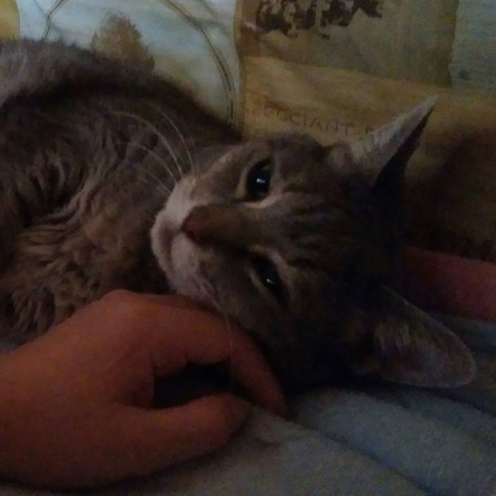 C90d7050 7965 4223 b535 2e775c6c58a3 1569362879111