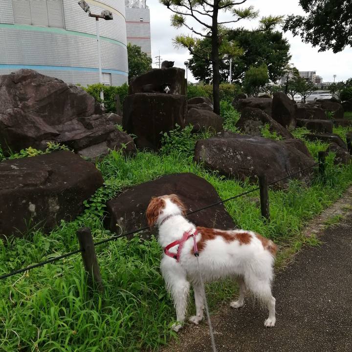 C90d7e34 ce5d 478d aaeb 10ef19f8f40c 1594712730740