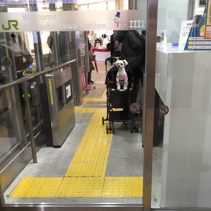 C90d9554 2f64 4bd5 8425 23d735007c28 1517565809166