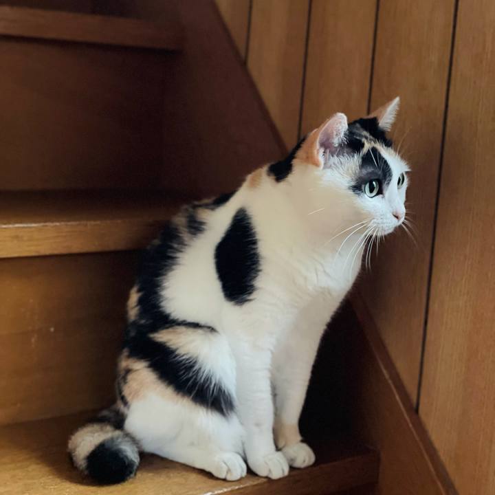 C90da179 aa26 43e3 8919 0efe0394914b 1631069977996