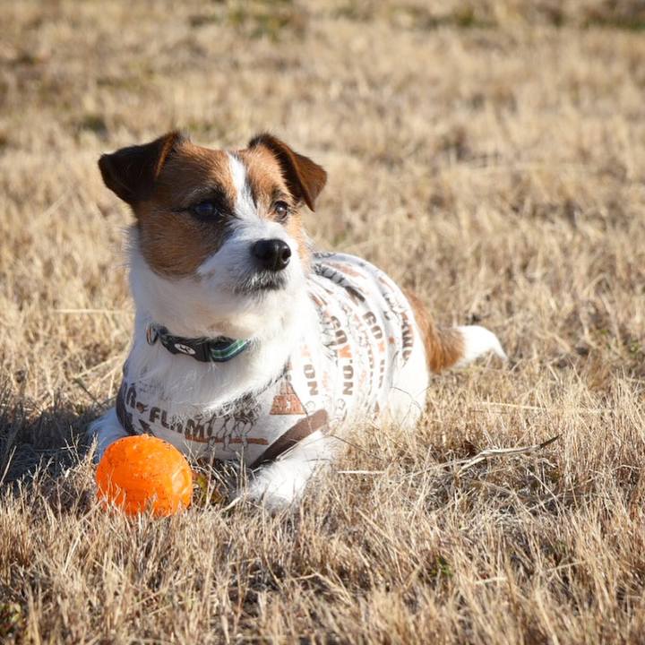 C90de30a cfde 407f 94a1 2e575f1c205d 1515763663465