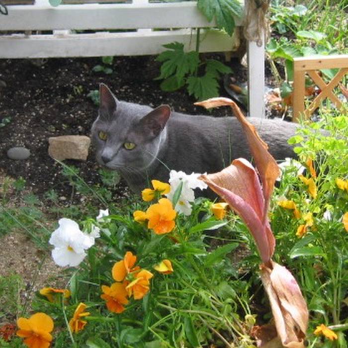 C90de618 9699 4e67 b0f6 e1691117b223 1521959865022