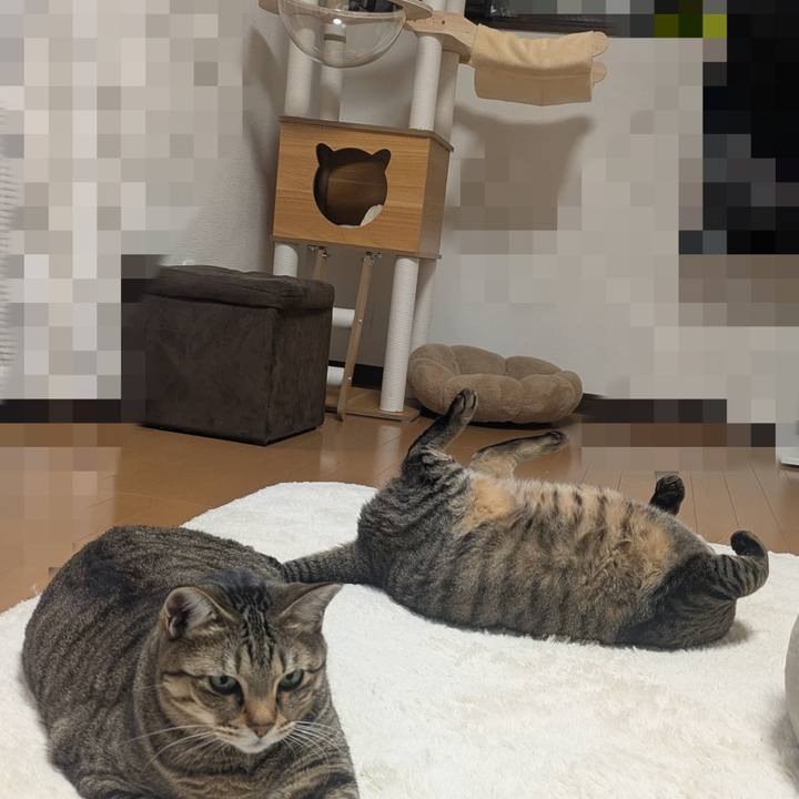 C90de7d0 d9f7 42a8 b1c1 5017ab90ca8b 1768469787103